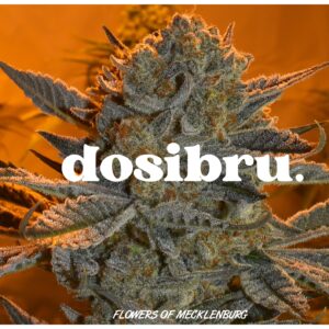 Dosi-Bru