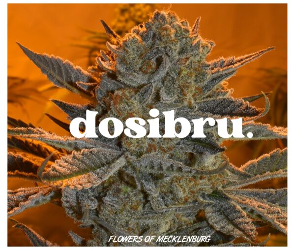 Dosi-Bru